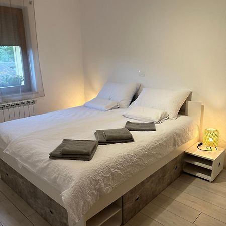 Dobravlje Apartma Anze Samec מראה חיצוני תמונה