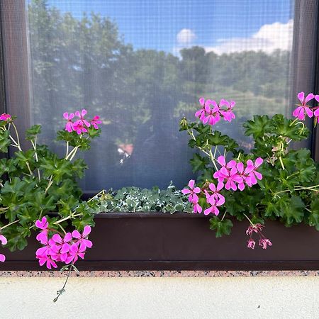 Dobravlje Apartma Anze Samec מראה חיצוני תמונה
