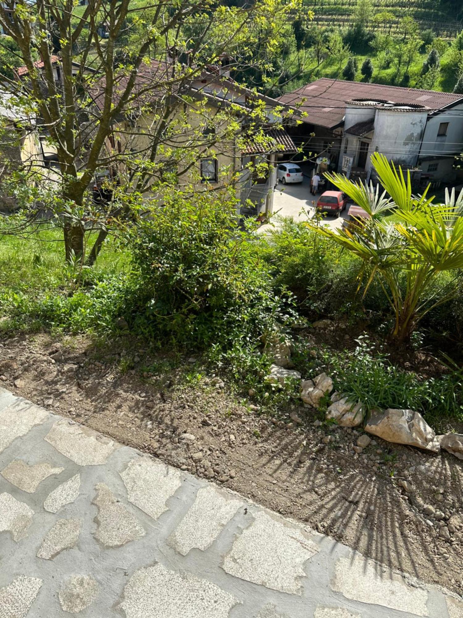 Dobravlje Apartma Anze Samec מראה חיצוני תמונה