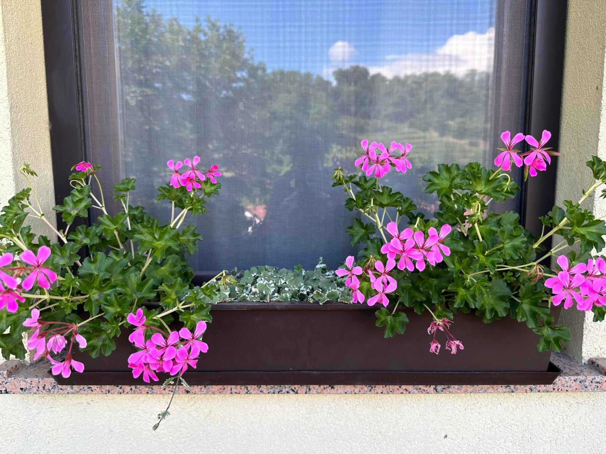 Dobravlje Apartma Anze Samec מראה חיצוני תמונה