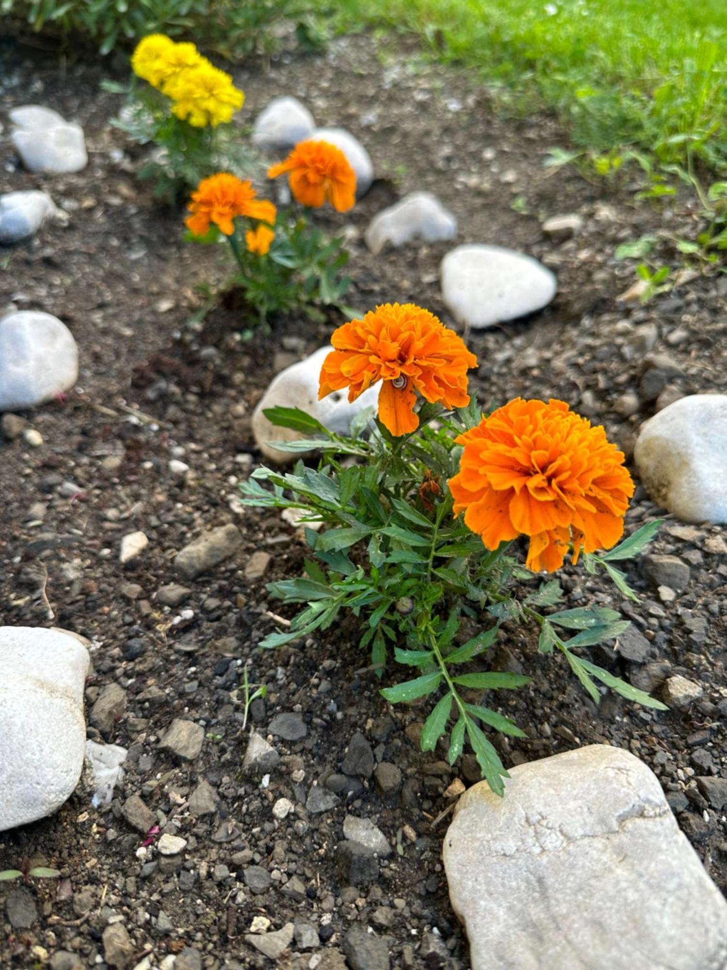 Dobravlje Apartma Anze Samec מראה חיצוני תמונה